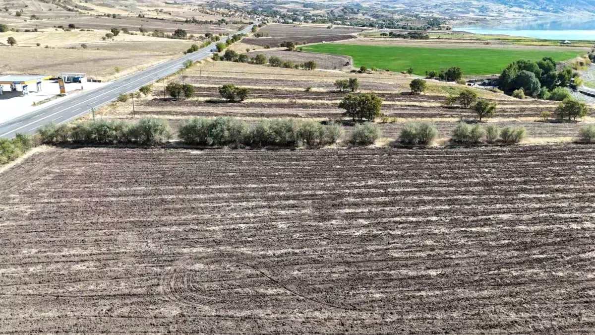 hava arslandan tuncelide seracilik hamlesi IqEeJJKK.jpg