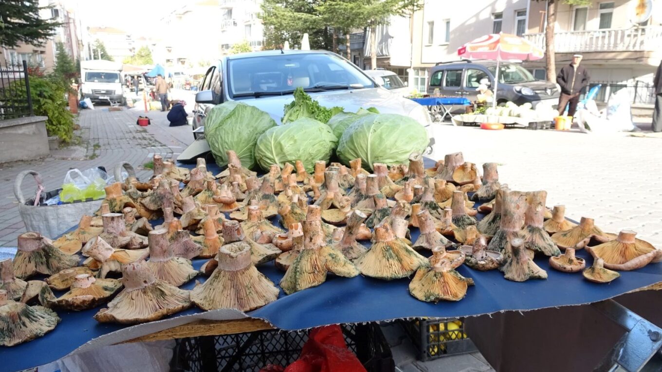 pazar tezgahlarina bereket getirdi kilosu 150 tlden basliyor vFZf2PhN.jpg
