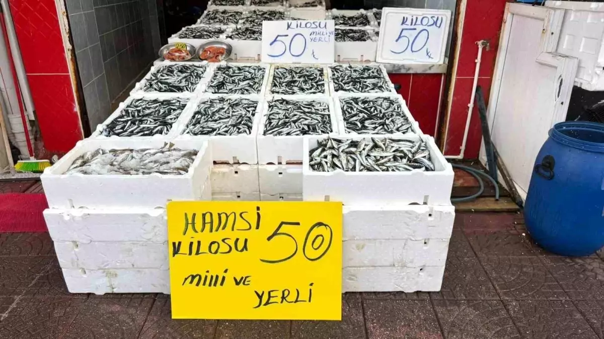 rizede hamsi fiyati 50 tl nzalTcPs.jpg