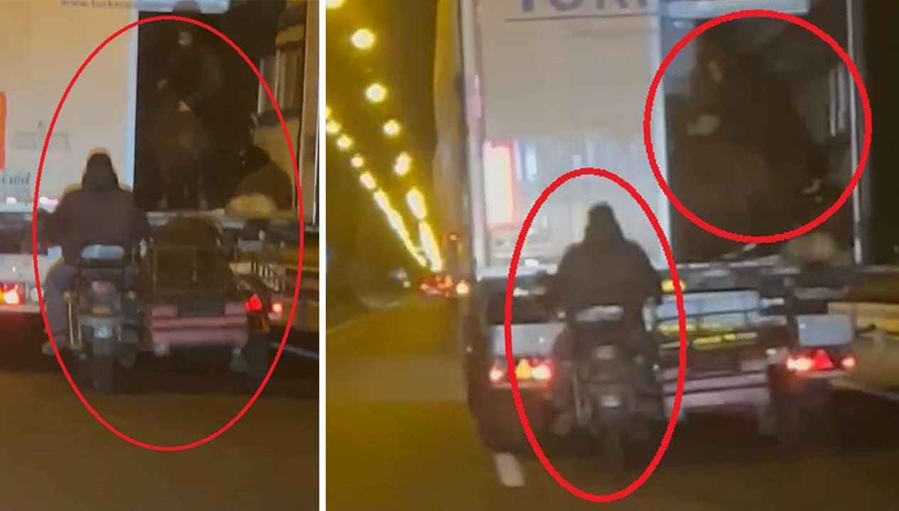 yoldaki tirdan koyun caldilar kaza yapinca hayvanlari birakip kactilar Xr7EsD3D.jpg