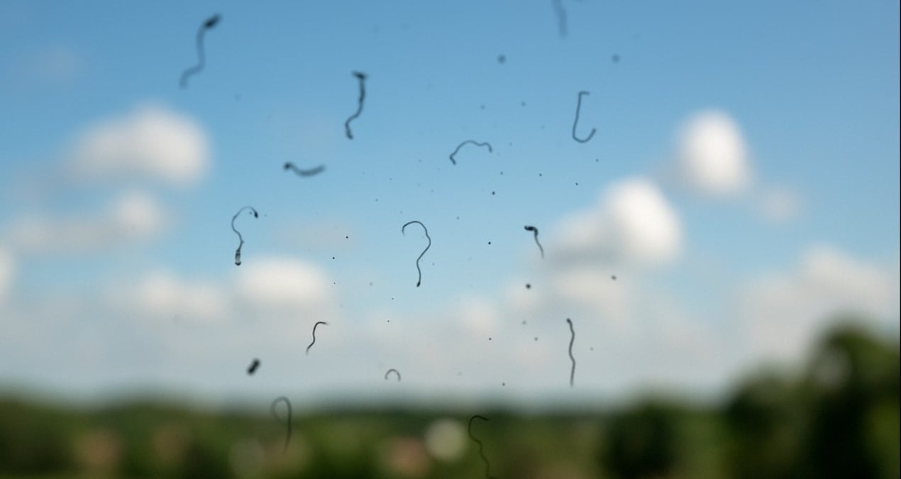 Gözlerinizin önünde uçuşan izlerin aslında çok başka bir anlamı varmış