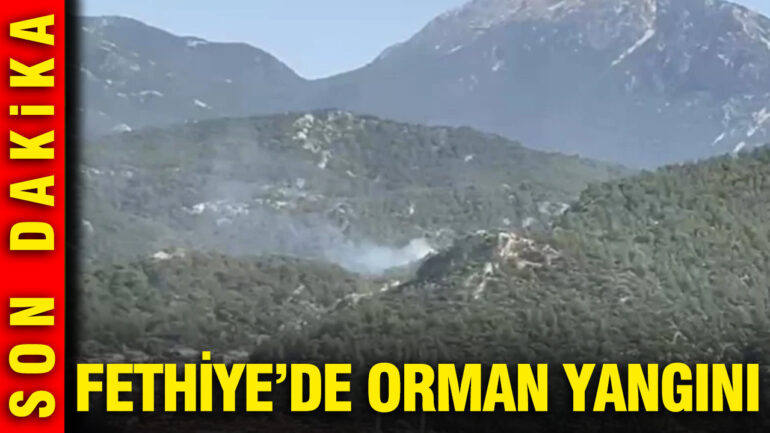 Fethiye’de Orman Yangını Çıktı, Ekipler Mücadele Ediyor