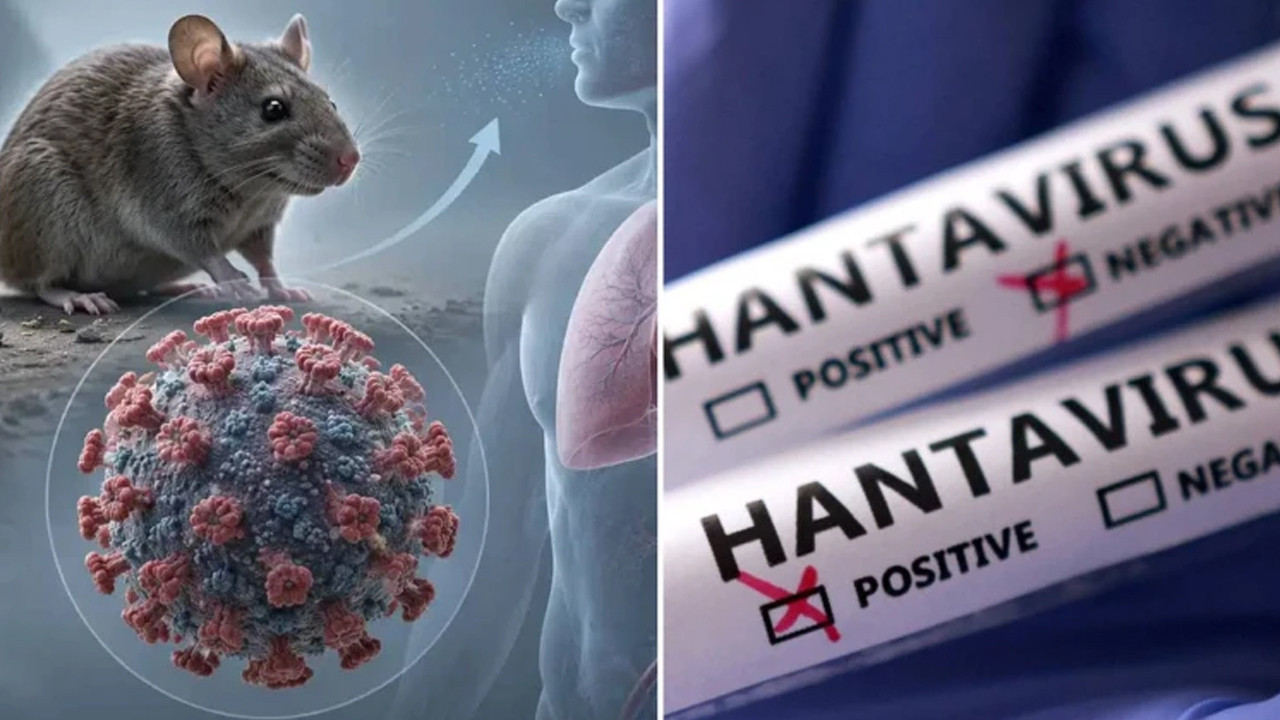ingiltereden-hantavirus-hamlesi-10-kisi-karantinada-3rnDhsO4-1